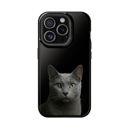 Russian Blue Cat Phone Case — Magnetic Impact-Resistant iPhone Cover