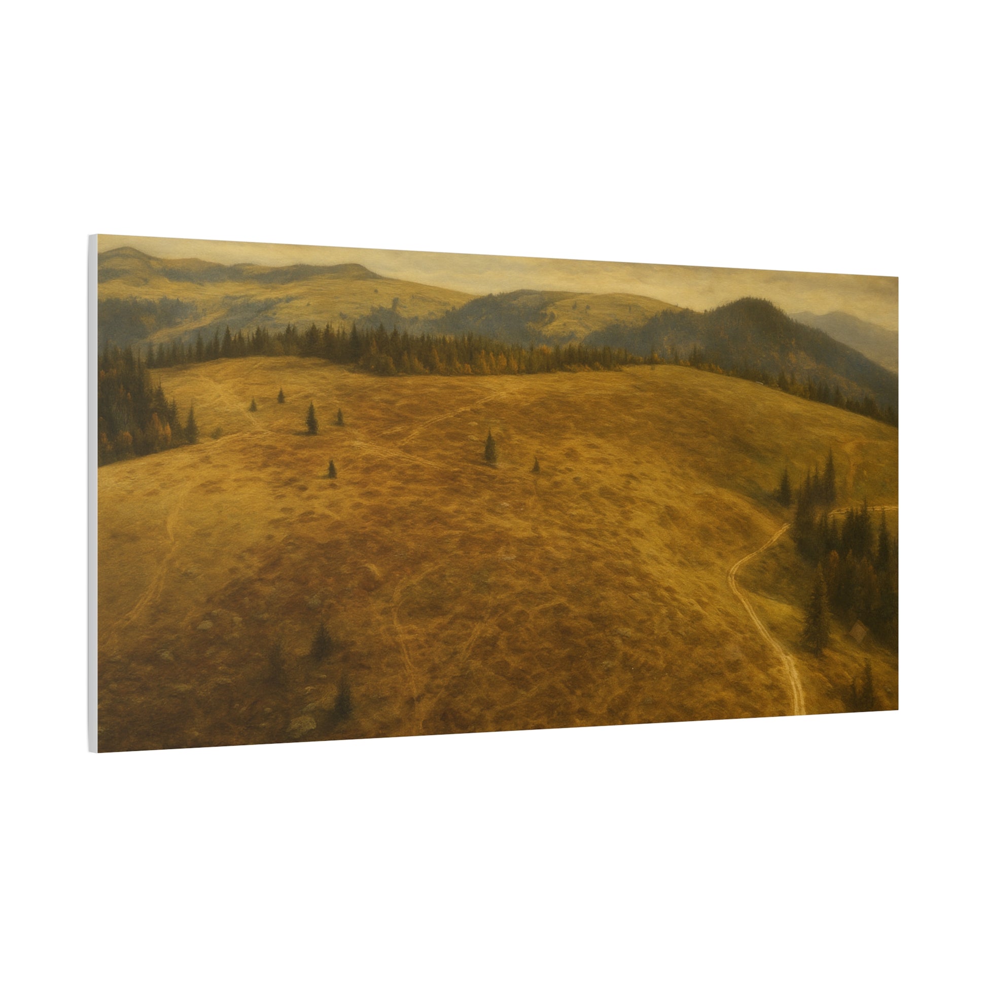 Stretched Canvas Art Print, Landscape Wall Decor, Nature Photography, Rustic Home Decor, Gifting, Earthy Art - TRV