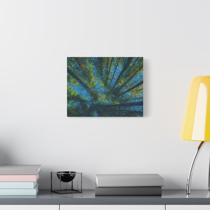 Forest Canopy Matte Canvas Wall Art — Upward View of Trees, Blue & Green Nature Print