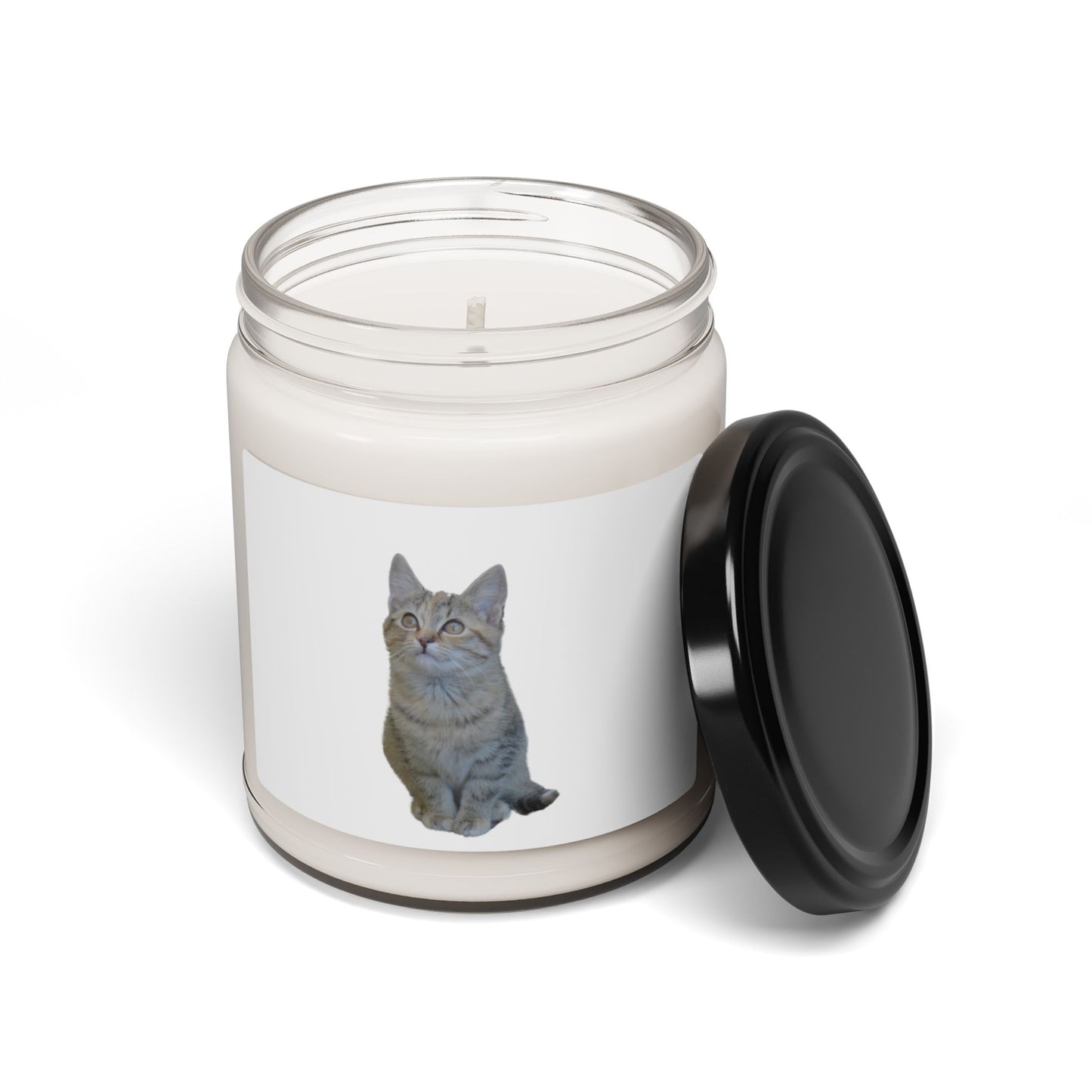 Cat-Themed Scented Soy Candle - 9oz - Perfect for Cat Lovers - TRV