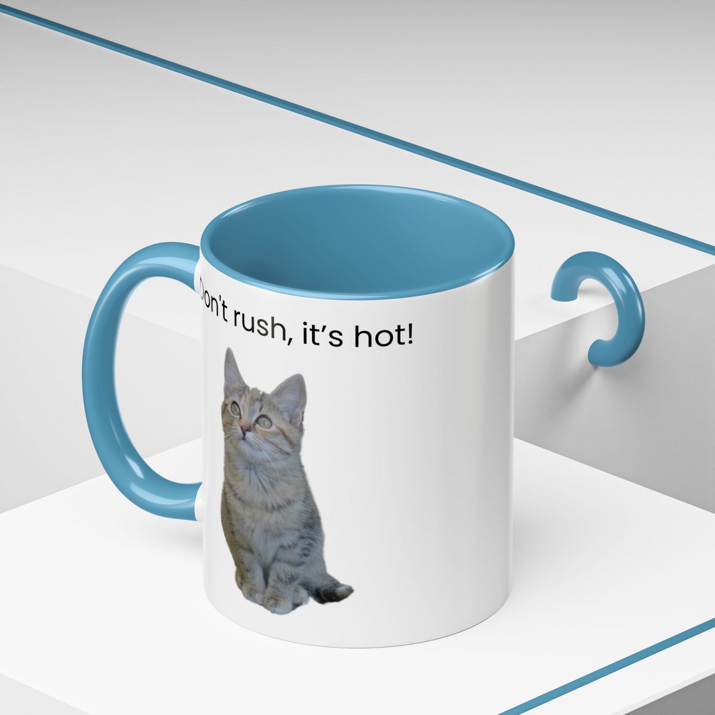Cat Coffee Mug - "Don't rush, it's hot!" Accent Ceramic Mug (11/15 oz)