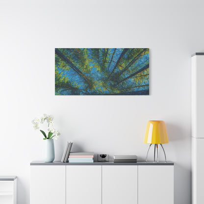Forest Canopy Matte Canvas Wall Art — Upward View of Trees, Blue & Green Nature Print