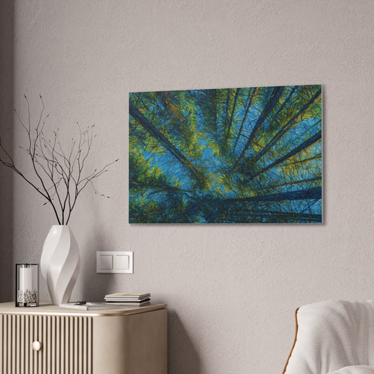 Forest canopy canvas print featuring an upward view of trees, printed on stretched 0.75-inch canvas by Printify.